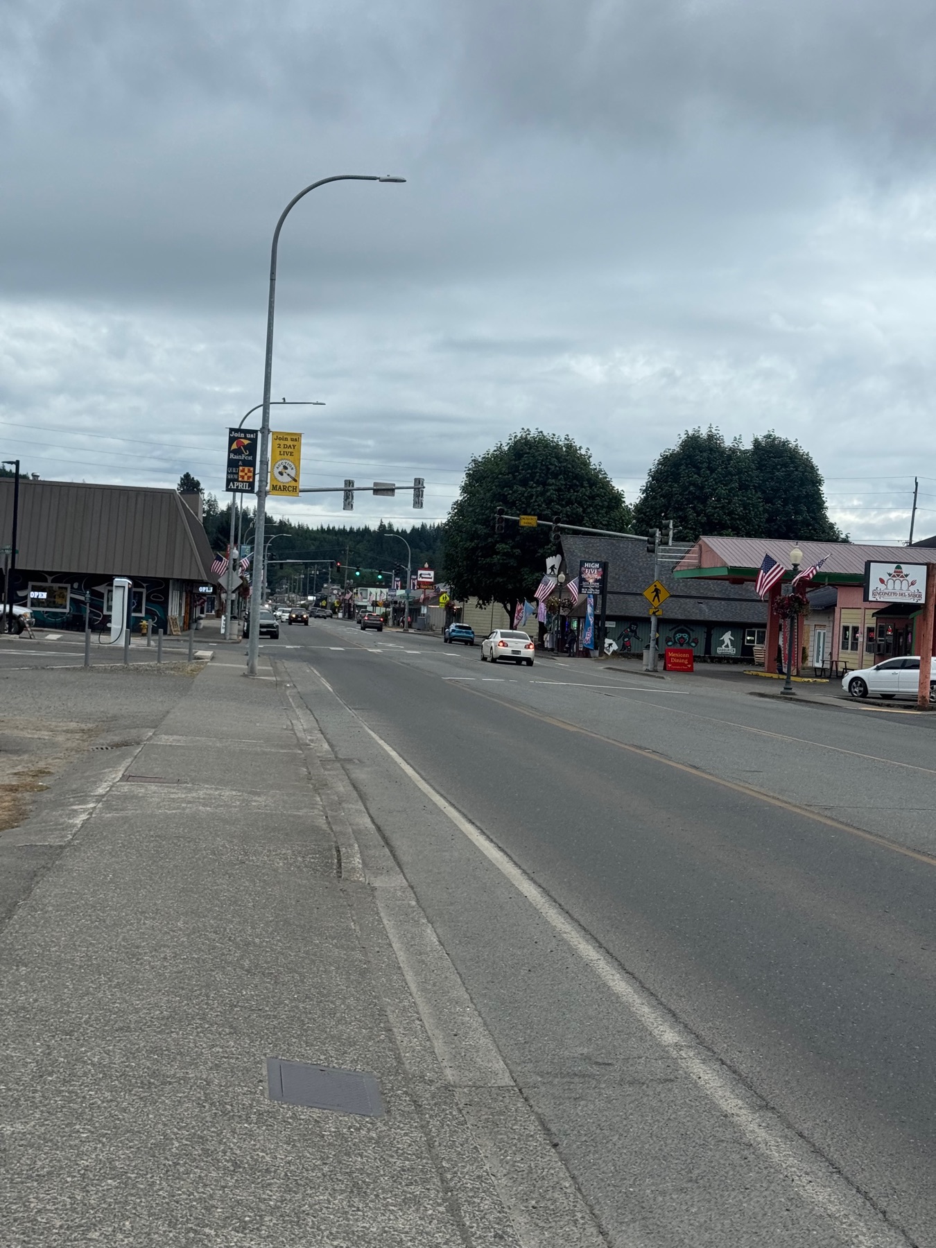 The quiet, overcast main street of Forks, Washington, lined with locally owned storefronts